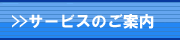 �T�[�r�X�̂��ē�