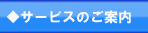 �T�[�r�X�̂��ē�