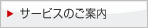 �T�[�r�X�̂��ē�