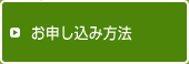 ���\�����ݕ��@