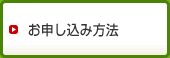 ���\�����ݕ��@