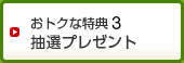 ���g�N�ȓ��T3 ���D�Ҍ��v���[���g