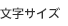 文字サイズ