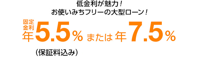 低金利が魅力！お使いみちフリーの大型ローン！　固定年利年5.5%または年7.5%（保証料込み）