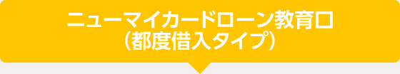 ニューマイカードローン教育口（都度借入タイプ）